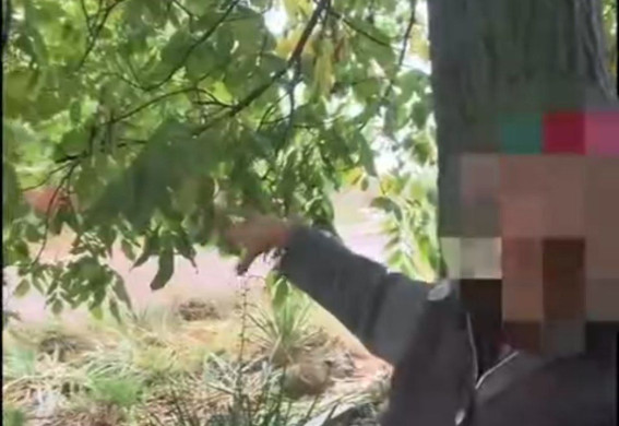 “Усіх повбивало дронами”: мешканка села під Оріховим розповіла про загибель 10 людей