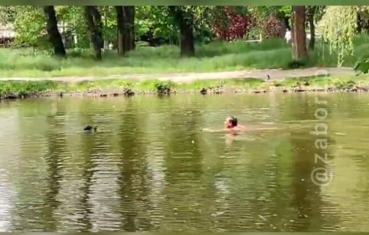 В центральном парке Запорожья мужчина совершил заплыв, чтобы спасти собаку (видео)