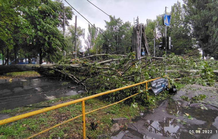 Последствия непогоды в Запорожье: сорванные линии электропередач, поваленные деревья и столбы (фото, видео)