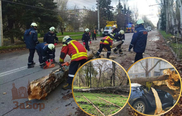 Наслідки негоди у Запоріжжі та районі: 11 впавших дерев, 2 пошкоджені авто, зупинка трамваїв (фото, відео)