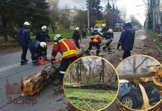 Наслідки негоди у Запоріжжі та районі: 11 впавших дерев, 2 пошкоджені авто, зупинка трамваїв (фото, відео)