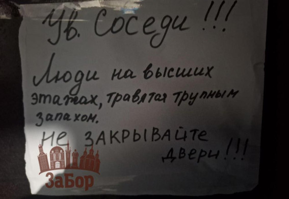 В Запоріжжі в під’їзді будинку сильний трупний запах:  мешканці скаржаться, що не можливо знаходитися в квартирах (фото)