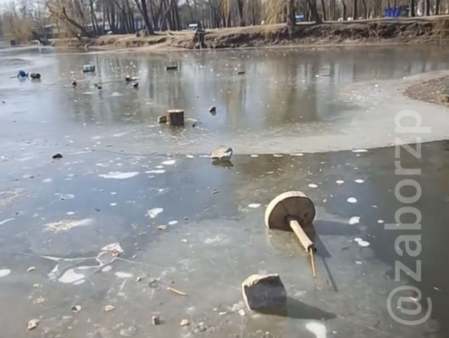 Вандали розгромили кафе в Дубовому гаю