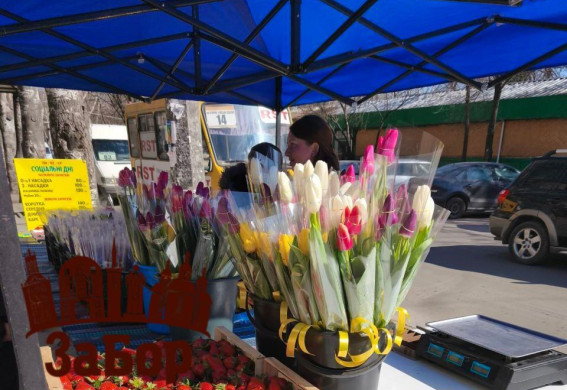 В Запоріжжі тюльпани продають за ціною троянд: що скільки коштує? (фото)