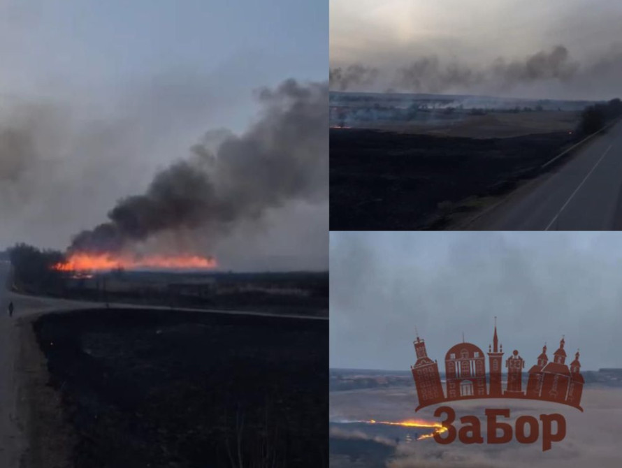 Пожежі в Запорізькій області