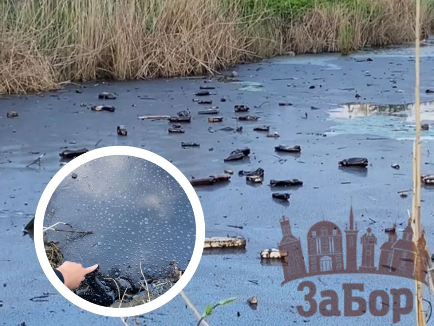 Мазут вкрив поверхню річки Мокра Московка в Запоріжжі