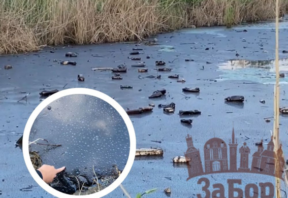 Екологічна катастрофа в Запоріжжі: річка Мокра Московка вкрилася шаром мазуту (відео)