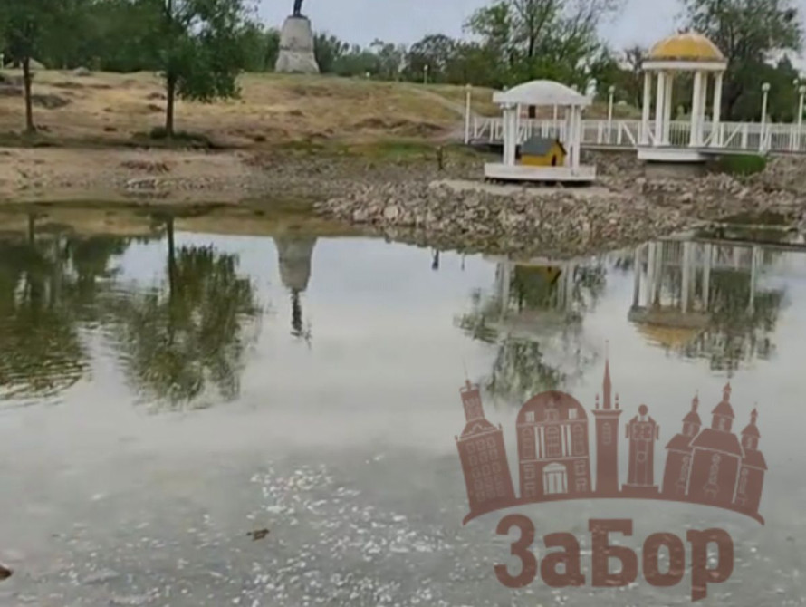 Наповнюється ставок в Вознесенівському парку