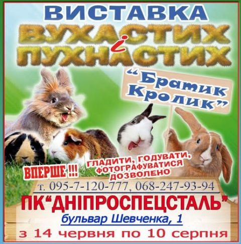 Виставка вухастих і пухнастих тварин "Братик Кролик"