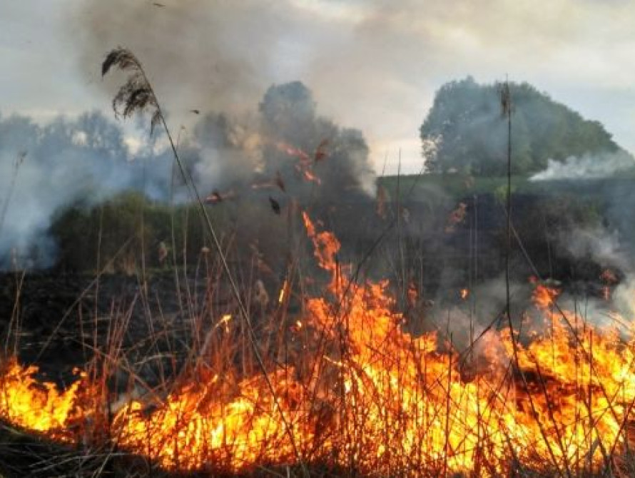 У Запоріжжі пожежа могла перекинутися на жилі будинки