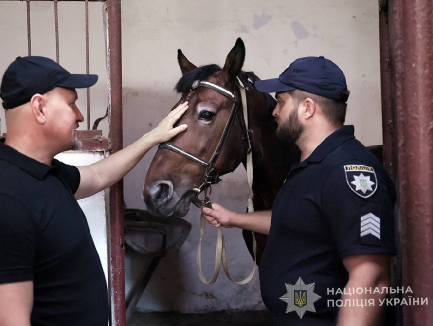 Два нових коня у лавах поліції Запоріжжя