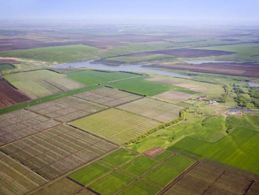 Прокуратура подала позов до суду щодо незаконної оренди землі під Запоріжжям