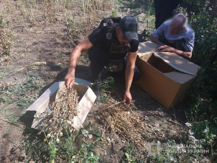 Поліція виявила наркоплантацію у пенсіонера на Запоріжжі