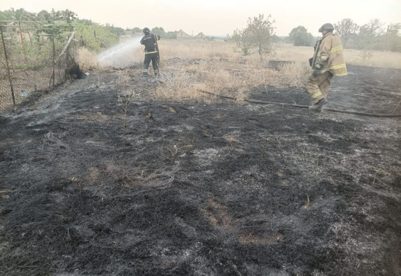 Під Запоріжжям вирувала величезна пожежа, що розповсюдилась на площу в 8 гектарів