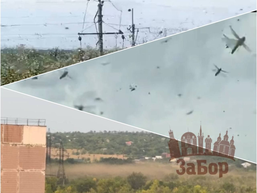 Сарана вже у Запоріжжі