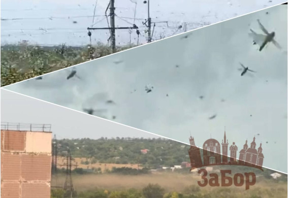 Величезна хмара сарани зайшла у Запоріжжя (відео)