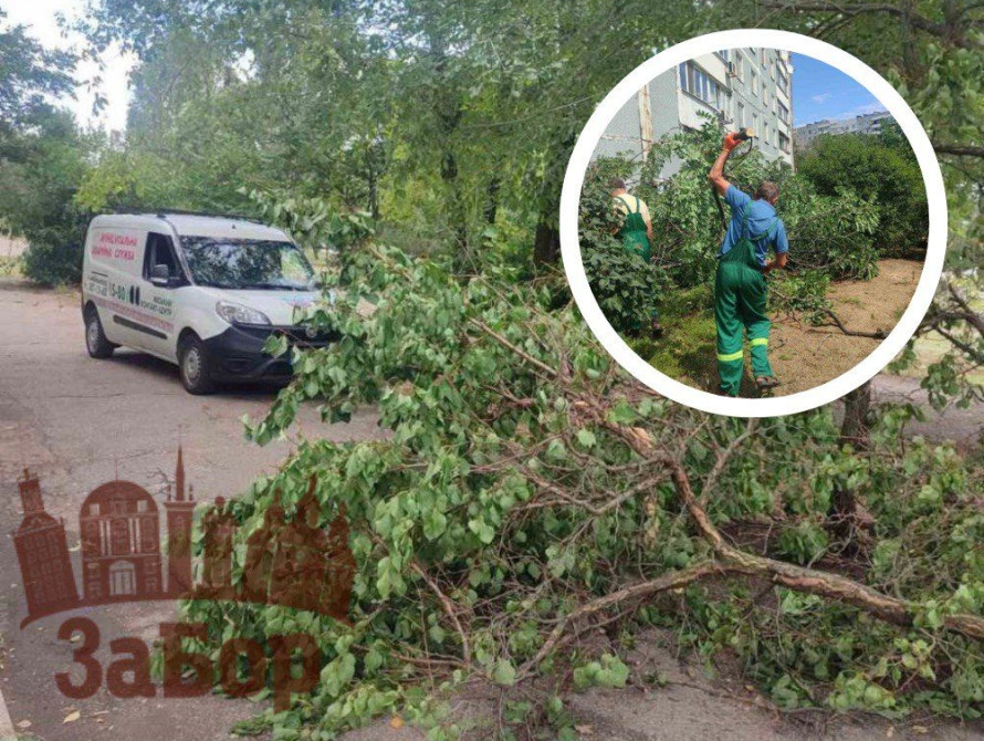 Через негоду пошкоджень зазнали електромережі, зокрема місцями обірвано дроти