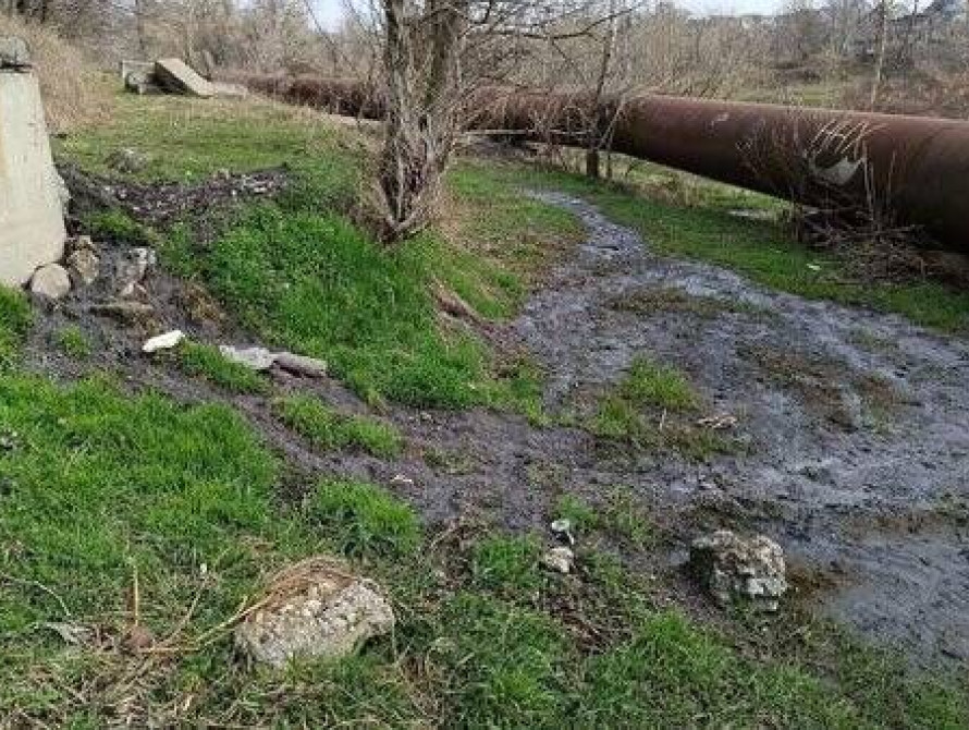 Скид відходів у зелену зону
