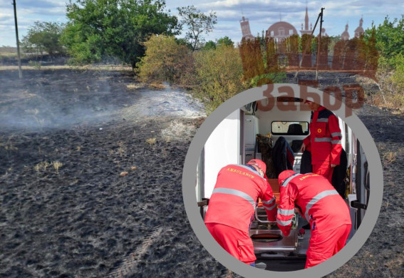 На Запоріжжі сталося біля 20 пожеж на відкритих територіях: загинула жінка (фото)