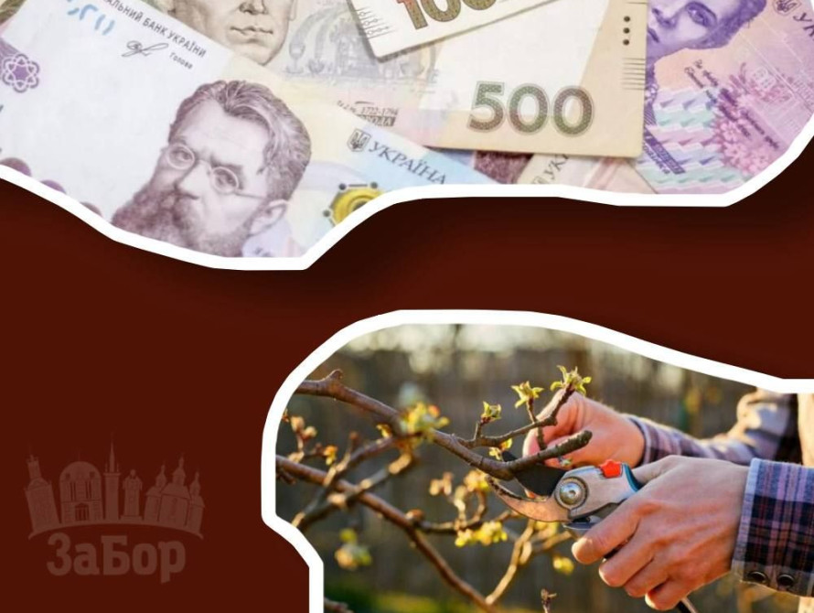 У Запоріжжі оголосили тендер на догляд за зеленими насадженнями на 21,7 млн грн