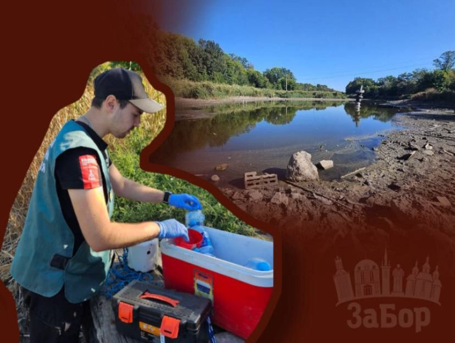 Держекоінспекція встановила причину мору риби у Запоріжжі