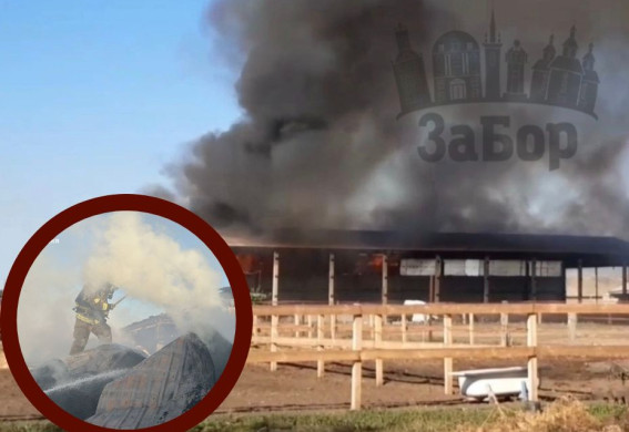 Сильна пожежа у кінному клубі під Запоріжжям: що відомо? (фото, відео)