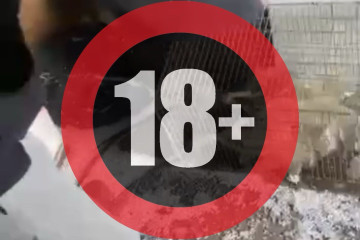 В мережі з'явилося відео, як підліток під Запоріжжям лупцював собаку: поліція встановила обставини інциденту (відео)