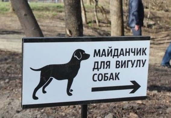 У Запоріжжі вперше визначили офіційні місця для вигулу собак