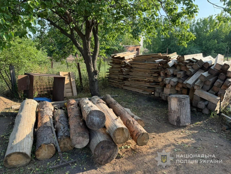 На Запоріжжі чоловіки незаконно вирубували дерева