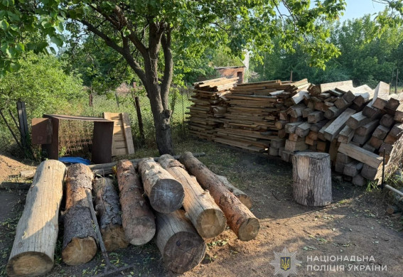 На Запоріжжі чоловіки незаконно вирубали дерев на понад 830 тисяч гривень (фото)