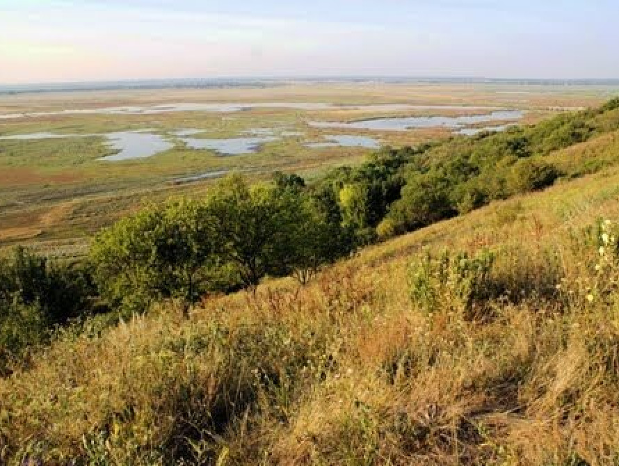 В Бердянске на кладбище незаконно перенесли 7 га плодородной почвы