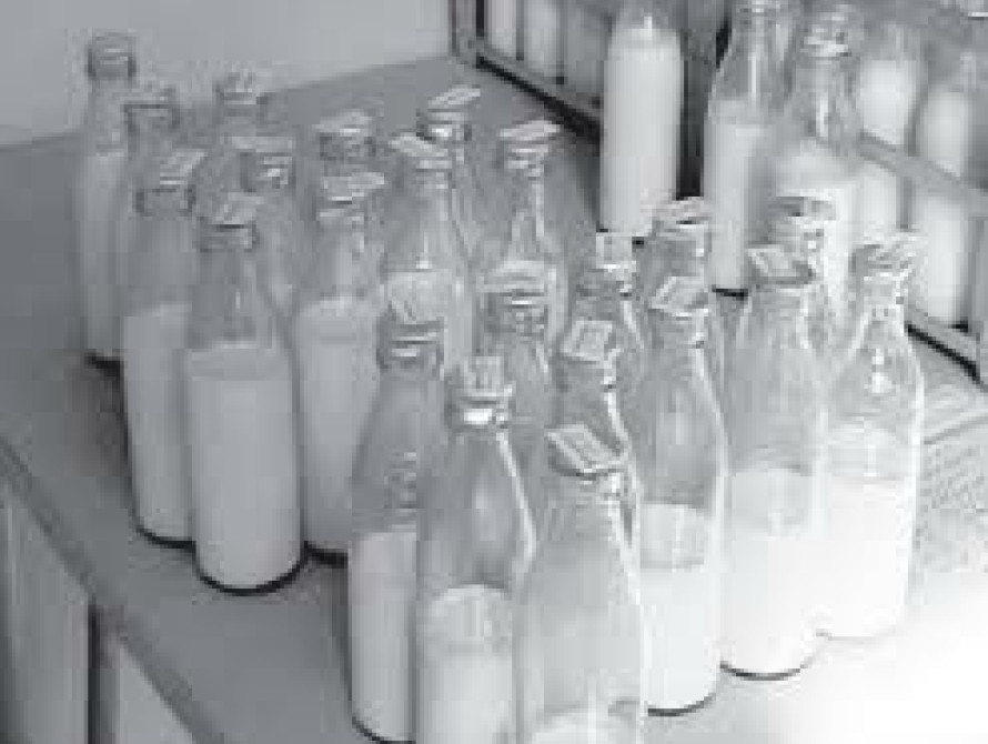 В Запорожье снова будет молочная кухня?