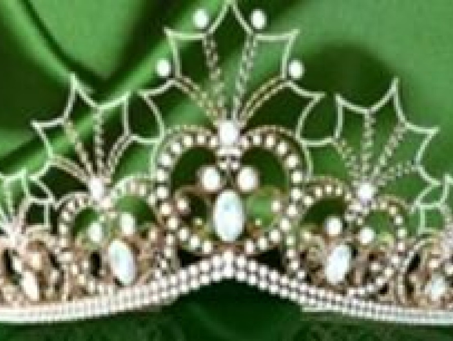 В Капиталисте выбирают Красуню Запорожья