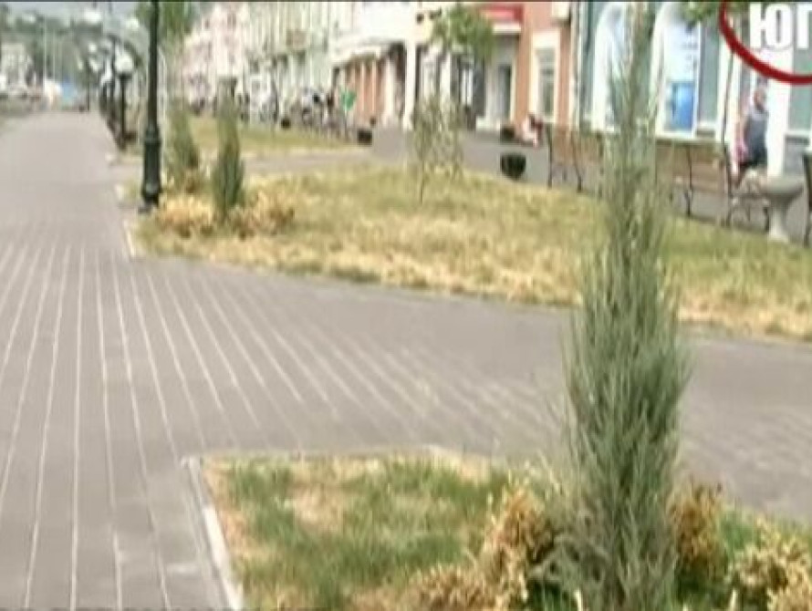 В Бердянске власть купила шланг для полива за 30 тыс. грн.