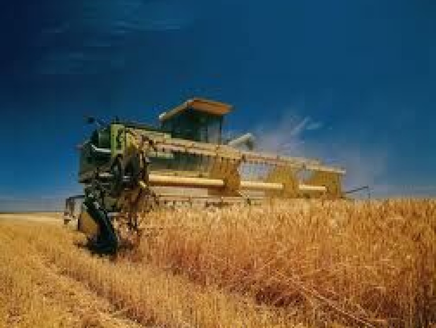 В Запорожской области уборку раннего зерна закончат к 12 июля