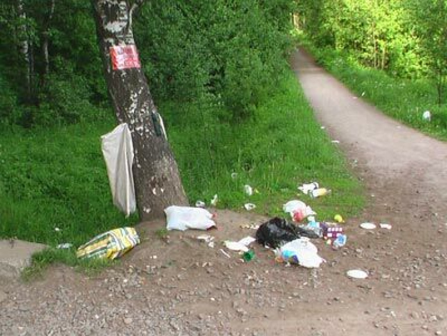 В Мелитополе парк почистили на 30 тыс. грн.