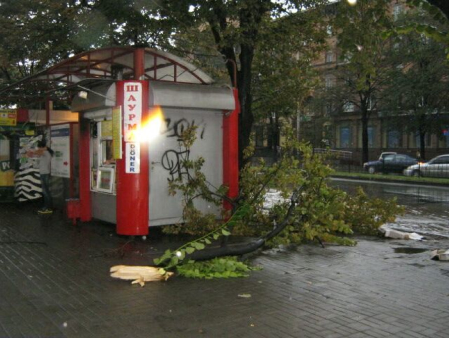 Мэр проверил, как в Запорожье ликвидируют последствия бури