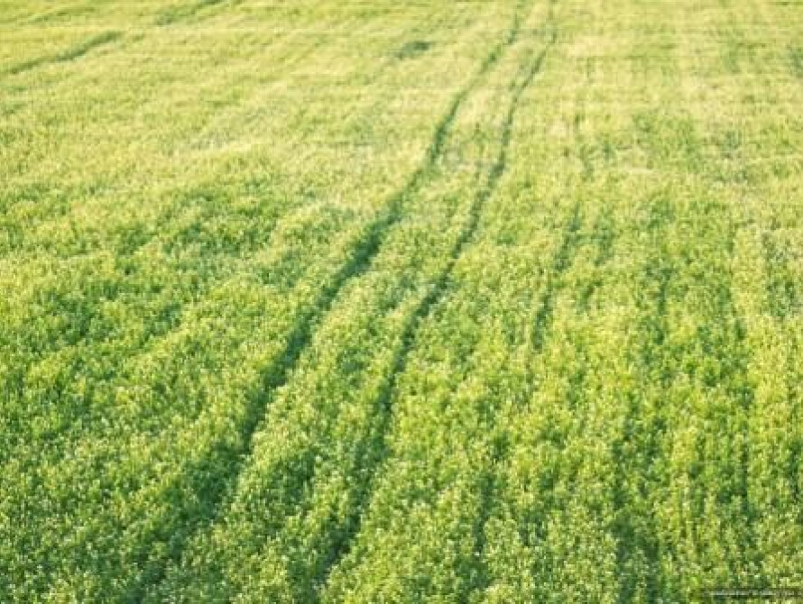 В Запорожской области в одних района собрано 100% урожая, а в других - 0%