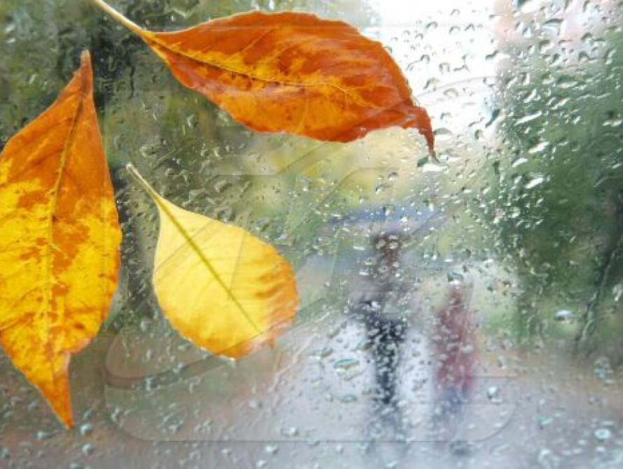 Осень в Запорожье будет ранней