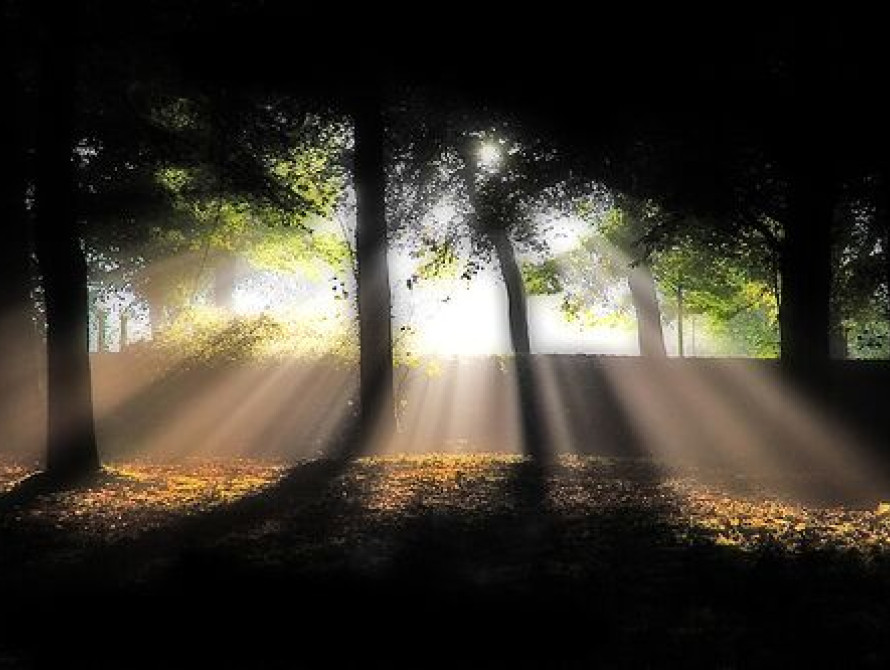 В Запорожье теперь не страшно гулять по вечерам в "Дубовой роще"