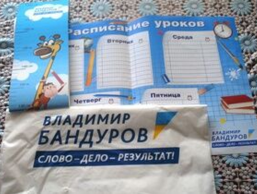 "Регионал" Бандуров нарушил в Запорожье Закон "О выборах"