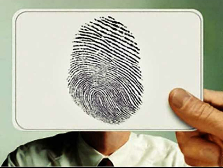 В Запорожской области ищут убийцу ... кота