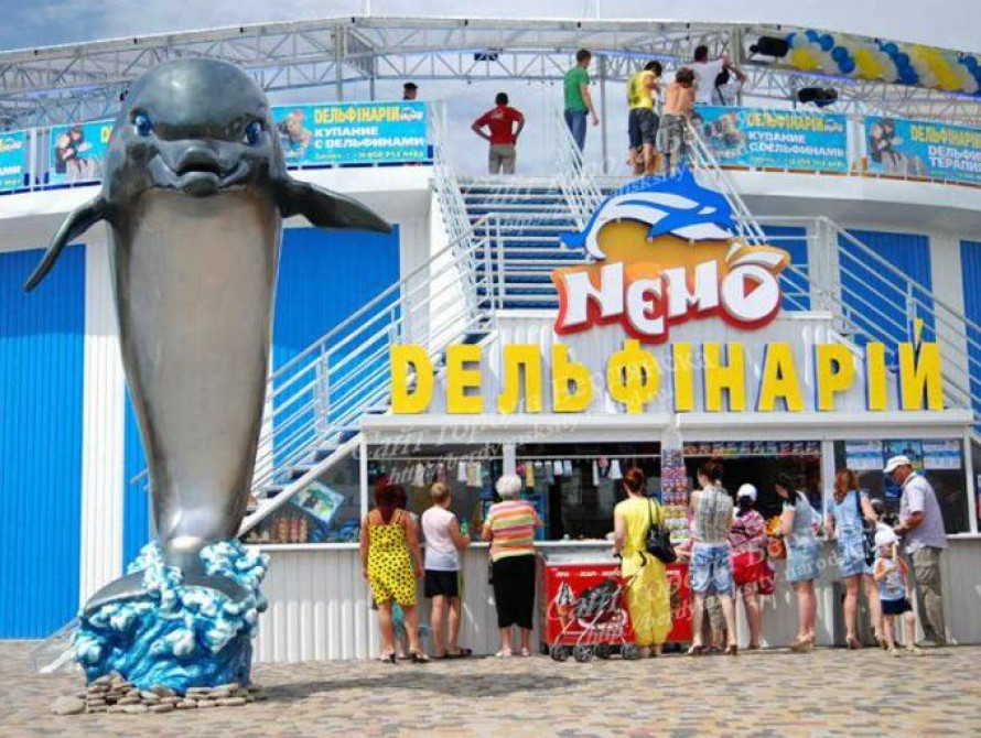 В Бердянске травят дельфинов