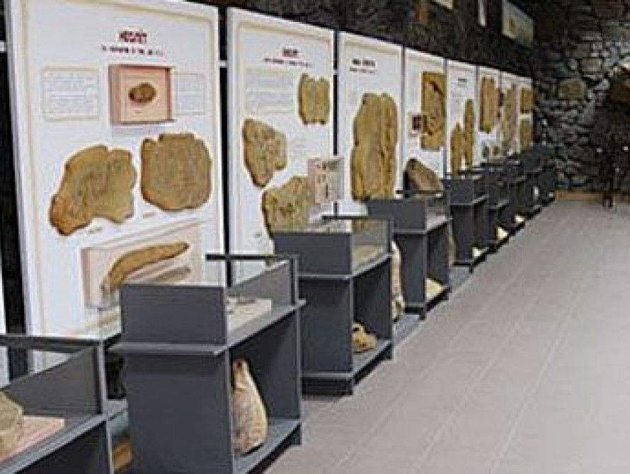 В Запорожской области открылась выставка доисторических экспонатов