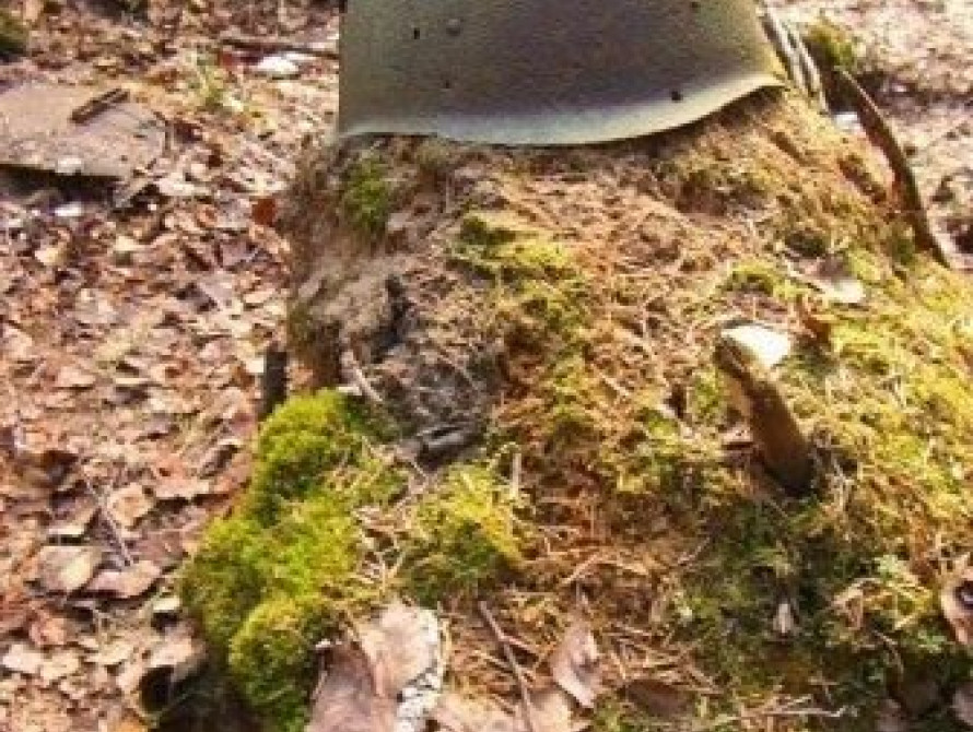 Под Бердянском нашли неизвестную могилу неизвестных солдат