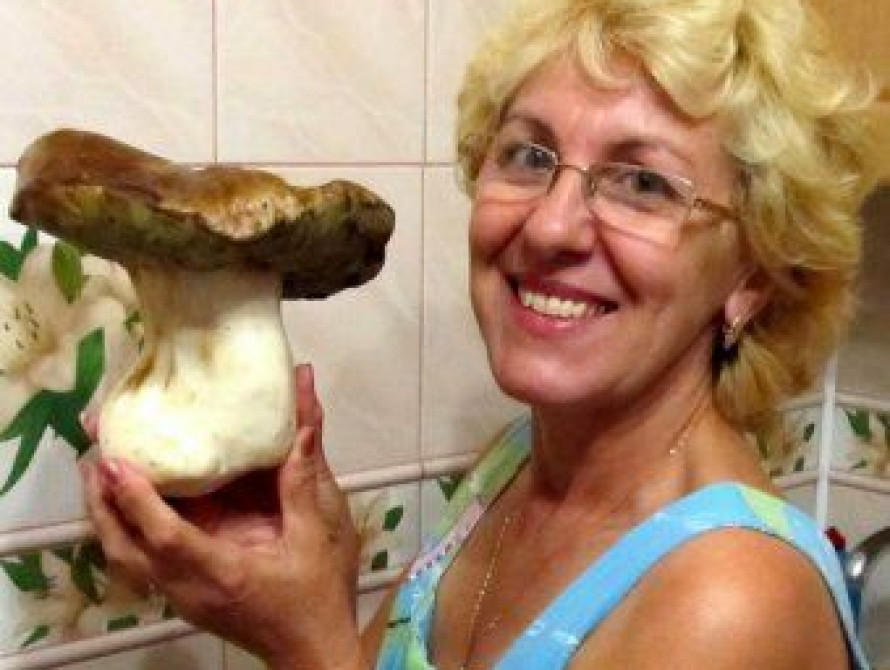 Недалеко от Энергодара нашли гриб-великан