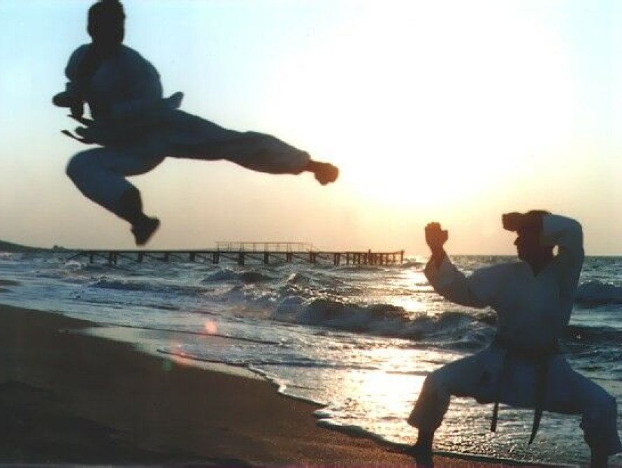 В Запорожье пройдет Международный фестиваль боевых искусств