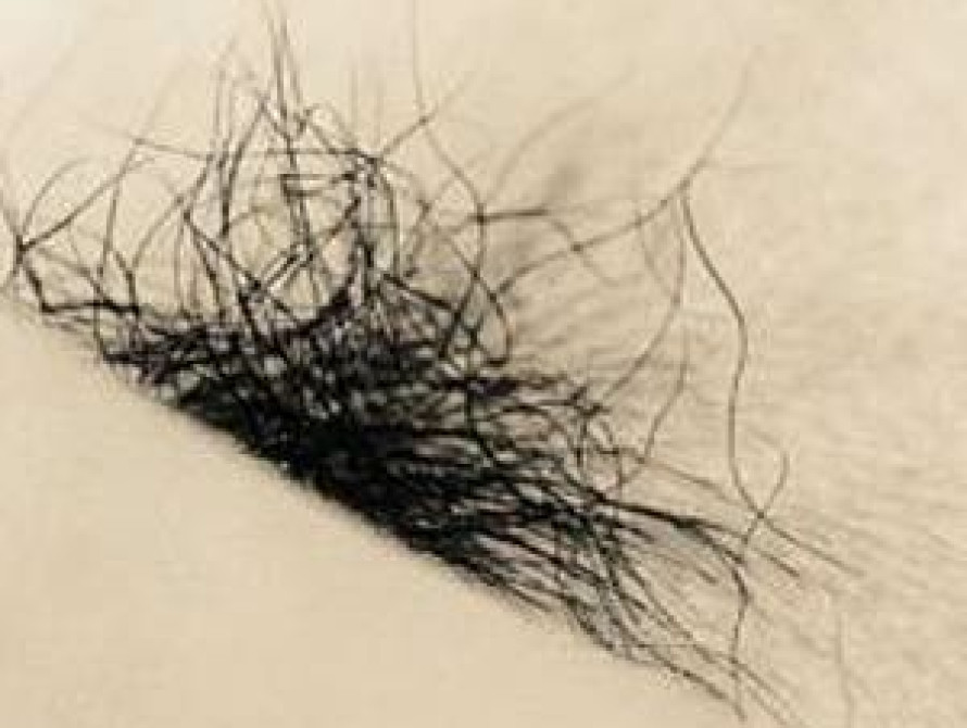 В Мелитополь привезут святые волосы Мухаммеда