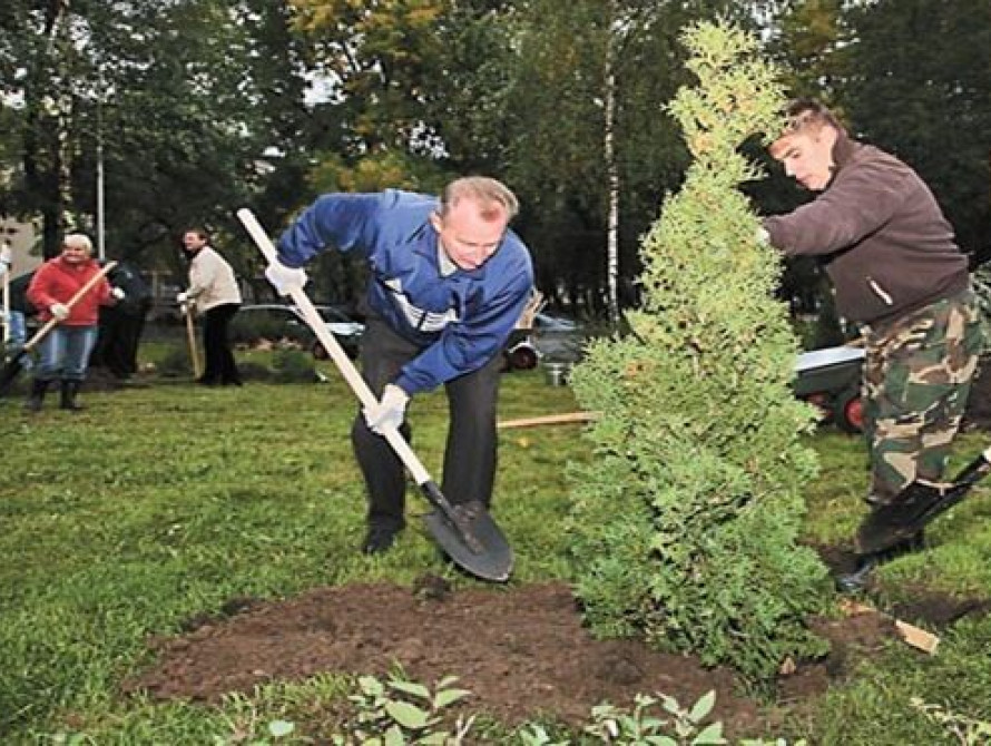 Жителей Запорожья приглашают озеленить Хортицу