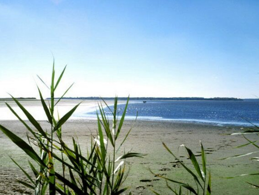 В Кирилловке начали стройку, которая спасет Молочный лиман